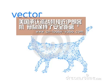 美国承认派战机接近伊朗客机 辩称保持了安全距离‘亚博官网’(图1) 亚博app