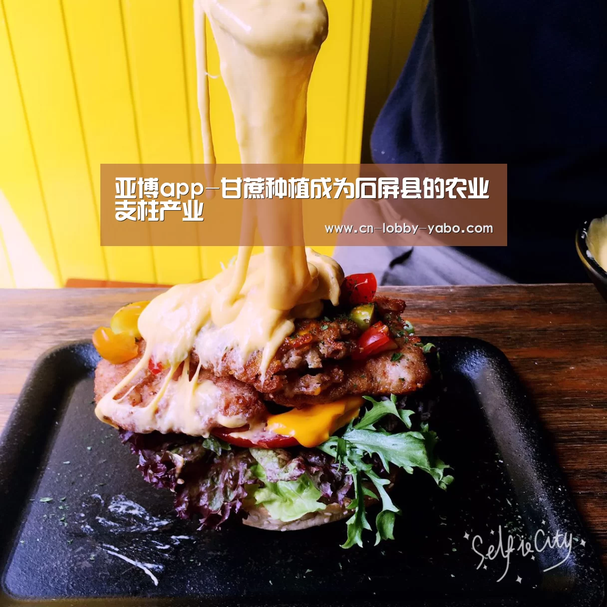 亚博app-甘蔗种植成为石屏县的农业支柱产业(图1) 亚博平台